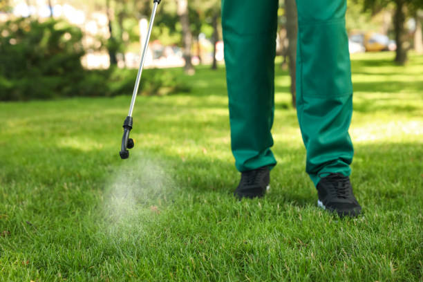 Best Local Pest Control Services  in Highpoint, OH