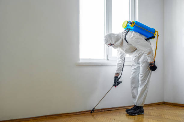 Best Affordable Pest Control Services  in Highpoint, OH