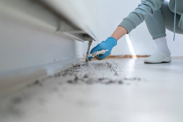 Pest Prevention Services in Highpoint, OH